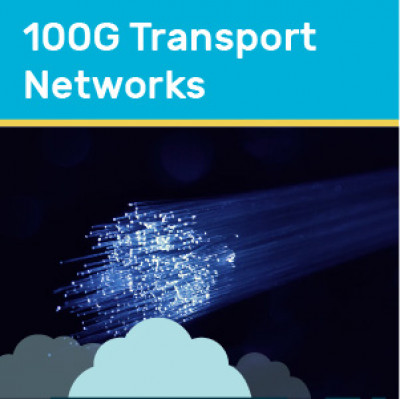 100G Transport Networks